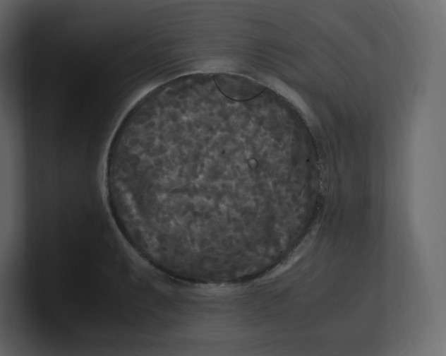 X0000100941087200807151301