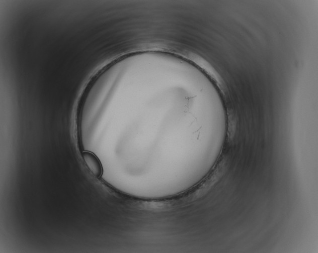 X0000100941088200807151301