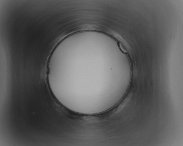 X0000100941089200807151301