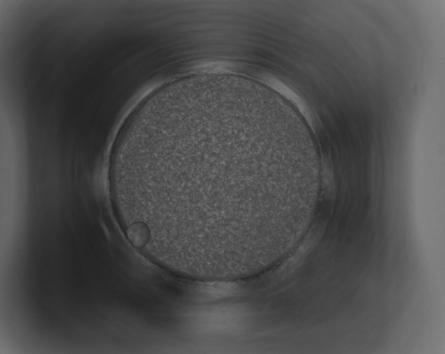 X0000100941090200807151301