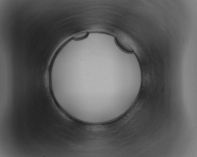 X0000100941092200807151301