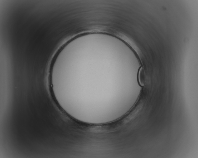 X0000100941093200807151301