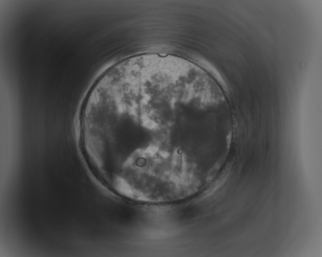 X0000100941095200807151300