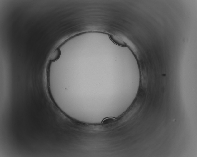 X0000100941096200807151300