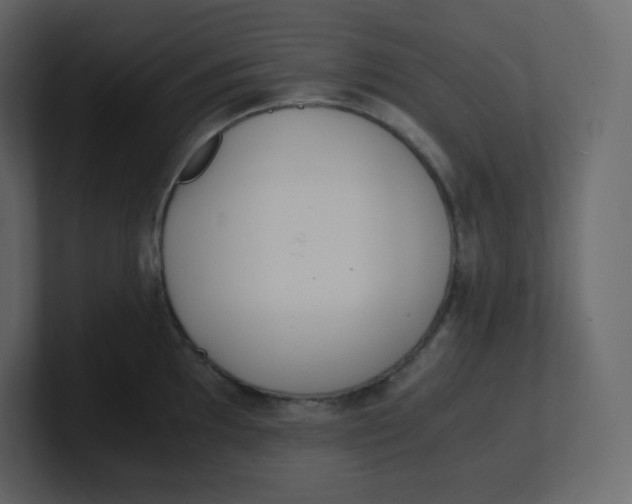 X0000100941097200807151300