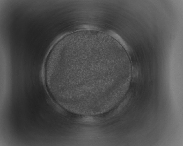 X0000100941098200807151300