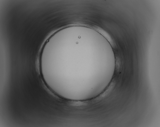 X0000100941100200807151300