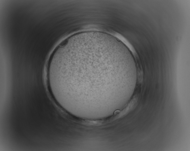 X0000100941101200807151300