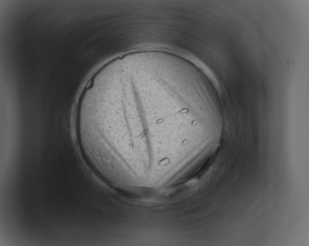 X0000100941102200807151300