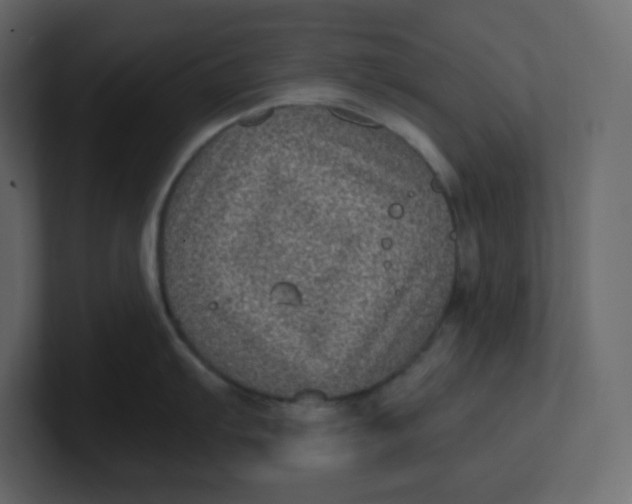 X0000100941103200807151300