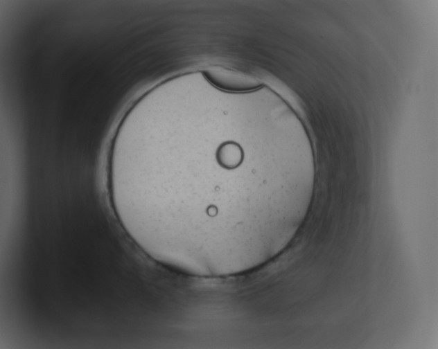 X0000100941104200807151300