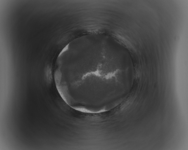 X0000100941106200807151300