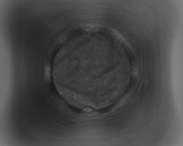 X0000100941108200807151300