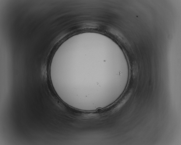 X0000100941113200807151300