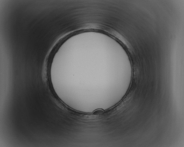 X0000100941116200807151300