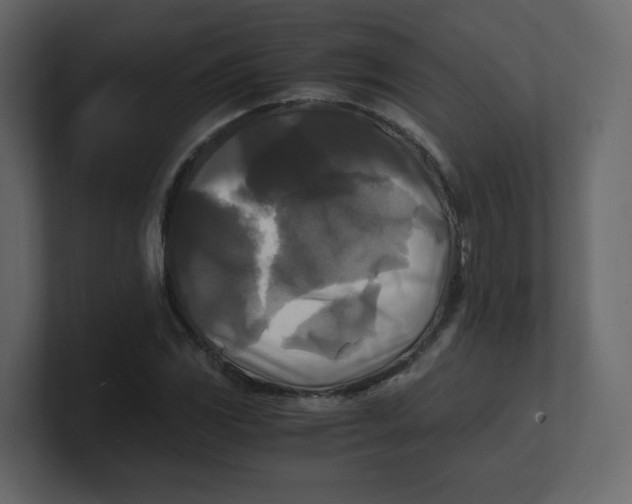 X0000100941117200807151300