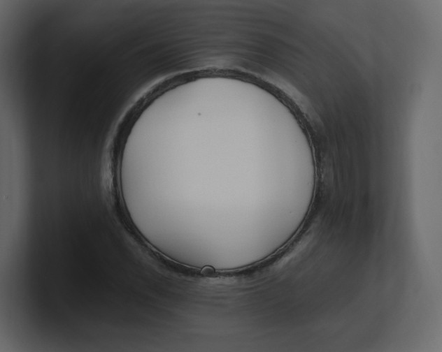 X0000100941118200807151300