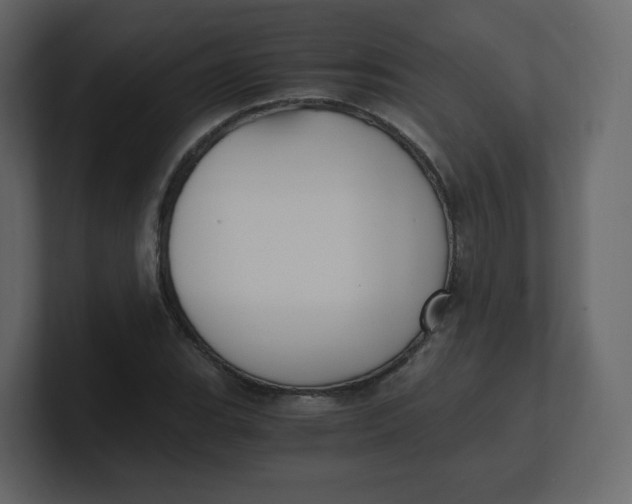 X0000100941119200807151300