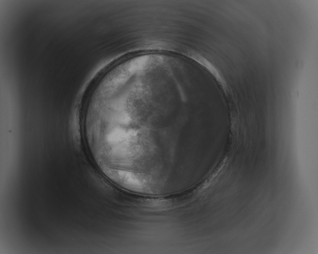 X0000100941120200807151300