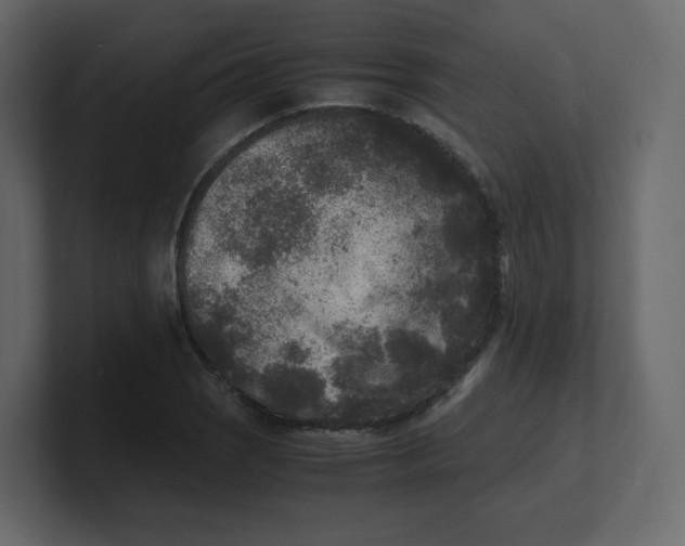 X0000100941121200807151300