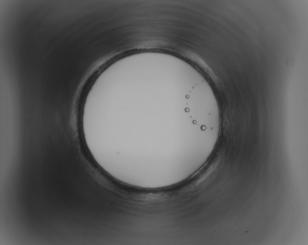 X0000100941122200807151300