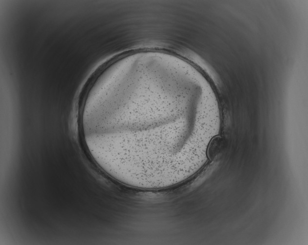 X0000100941124200807151300