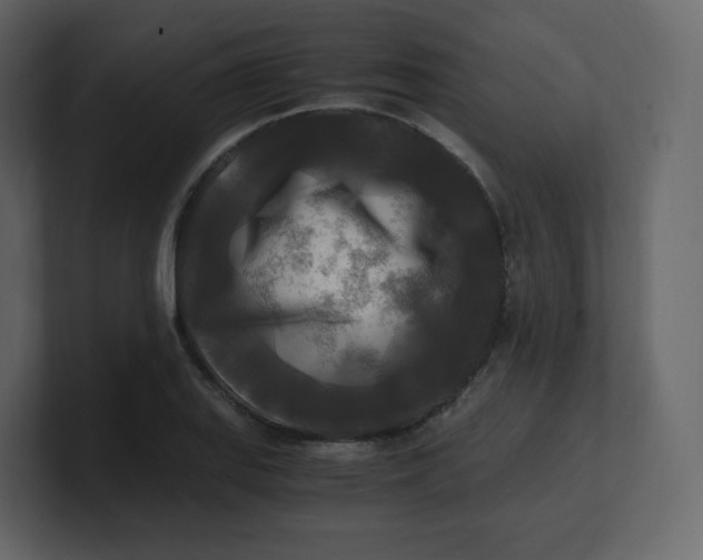 X0000100941127200807151300