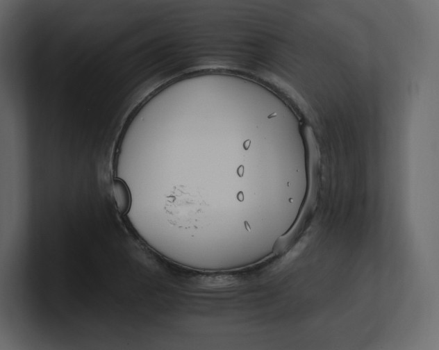 X0000100941129200807151300