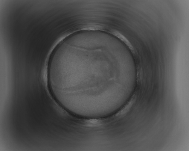 X0000100941130200807151300