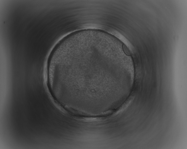 X0000100941132200807151300