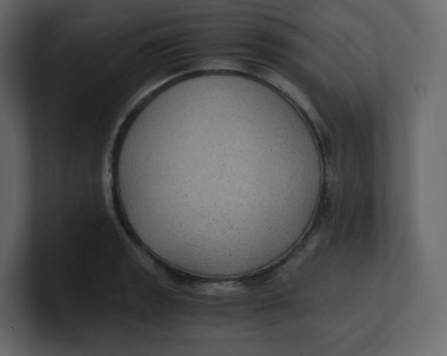 X0000100941133200807151300