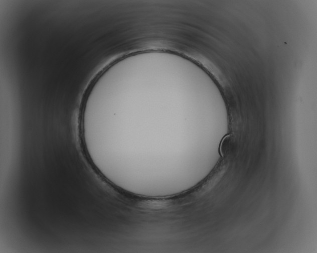 X0000100941134200807151300