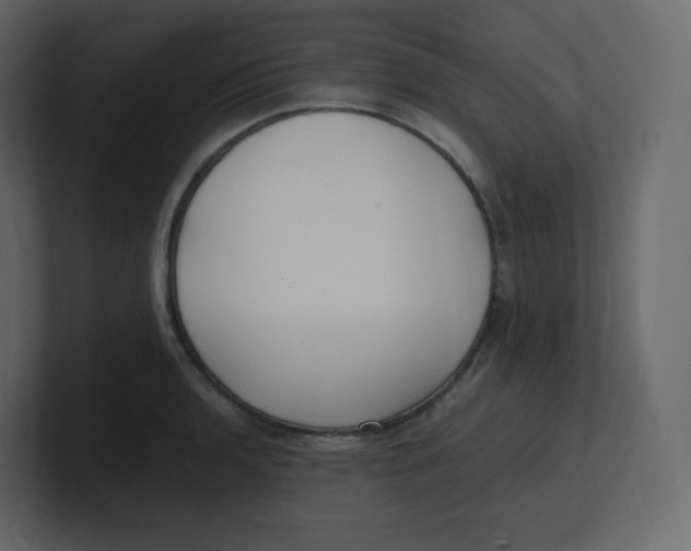 X0000100941136200807151300