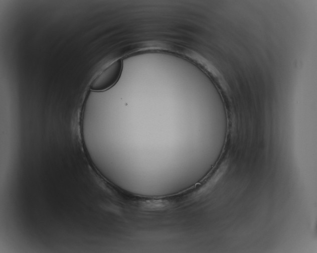 X0000100941137200807151300