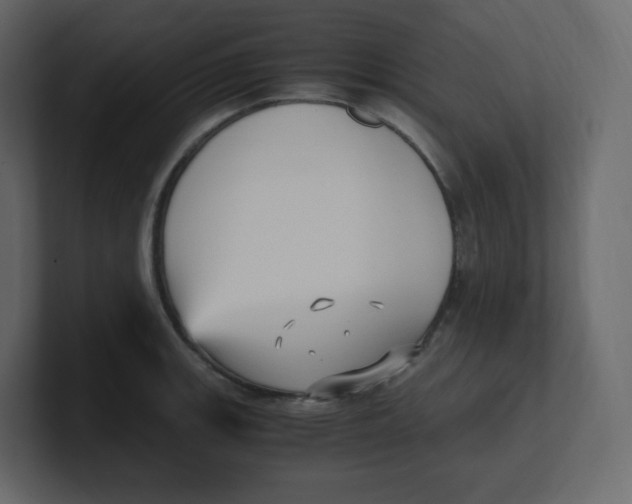 X0000100941139200807151300