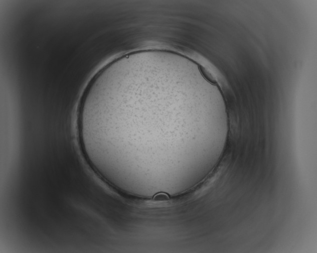 X0000100941142200807151300