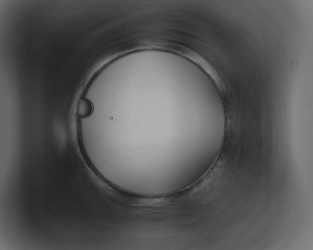 X0000100941143200807151300