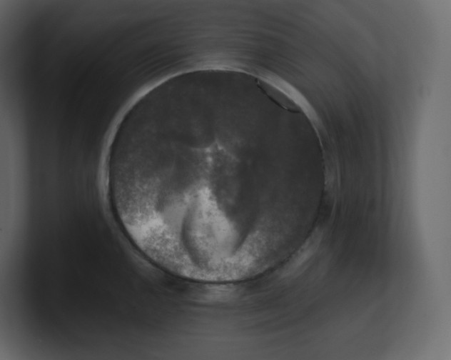 X0000100941144200807151300