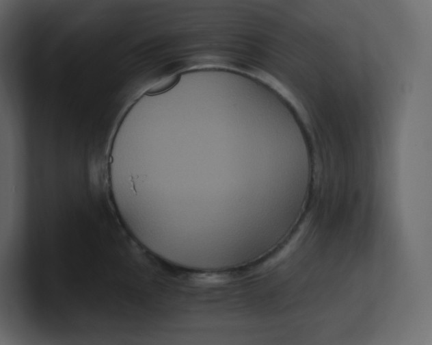 X0000100941145200807151300