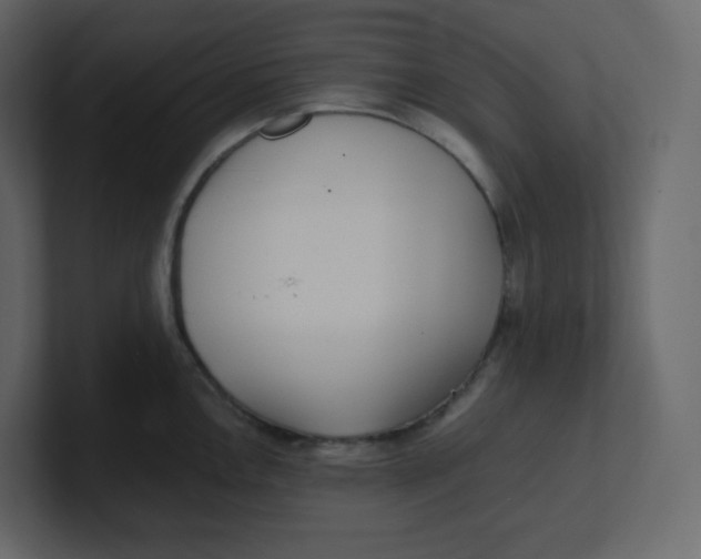 X0000100941146200807151300