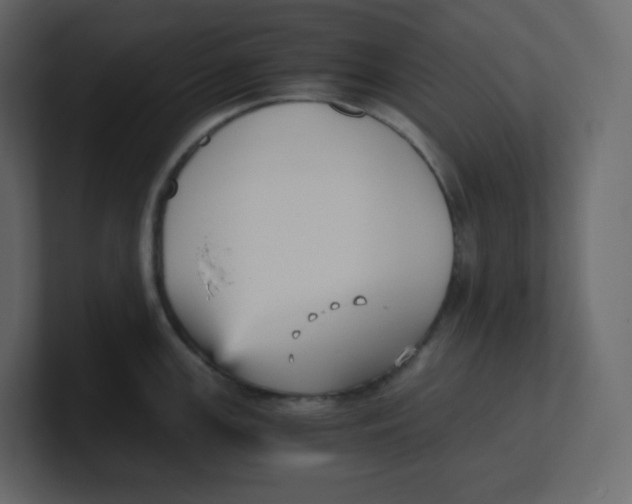 X0000100941147200807151300