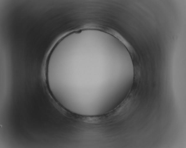 X0000100941148200807151300