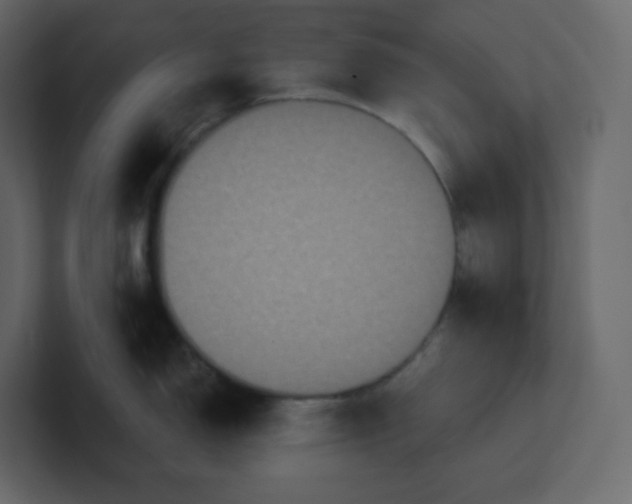 X0000100941150200807151300