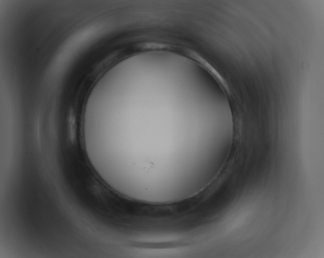 X0000100941151200807151300