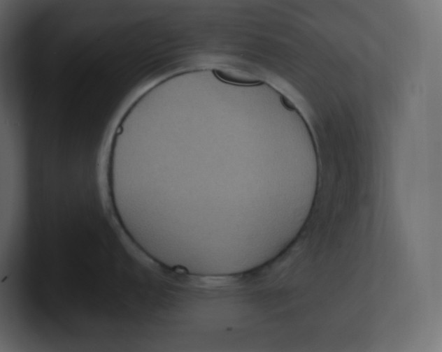 X0000100941152200807151300