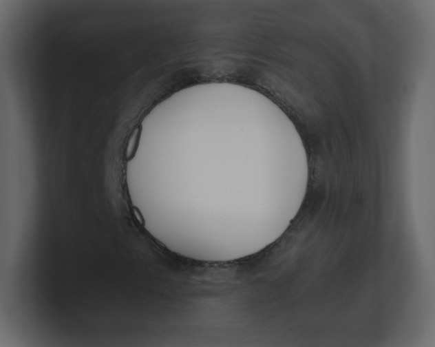 X0000100941153200807151300