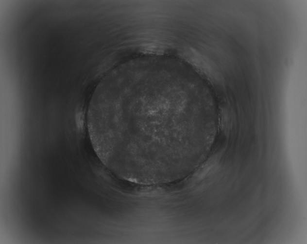 X0000100941154200807151300