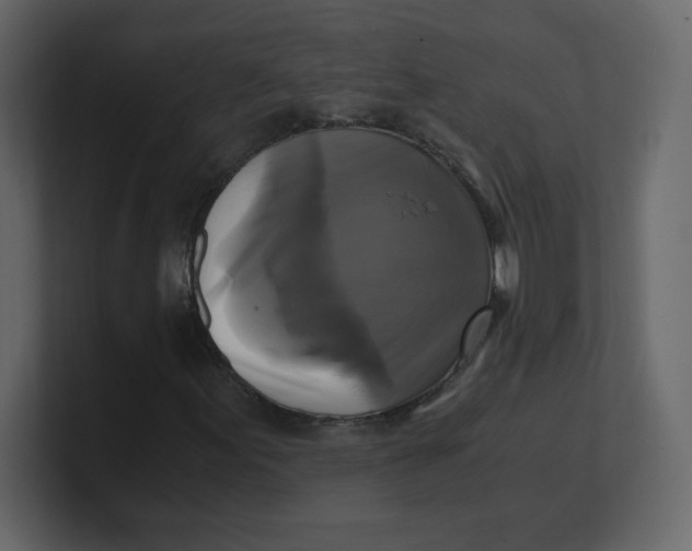 X0000100941155200807151300