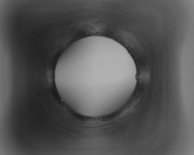 X0000100941156200807151300