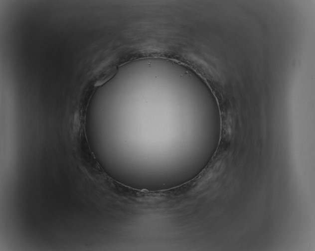 X0000100941157200807151300